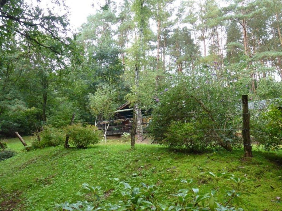 Cosy Chalet With Private Sauna In Bousseviller Chambre photo