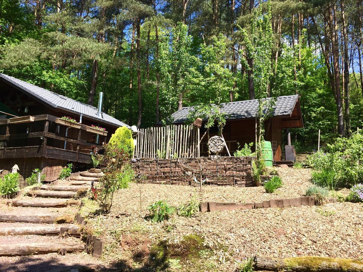 Cosy Chalet With Private Sauna In Bousseviller Extérieur photo