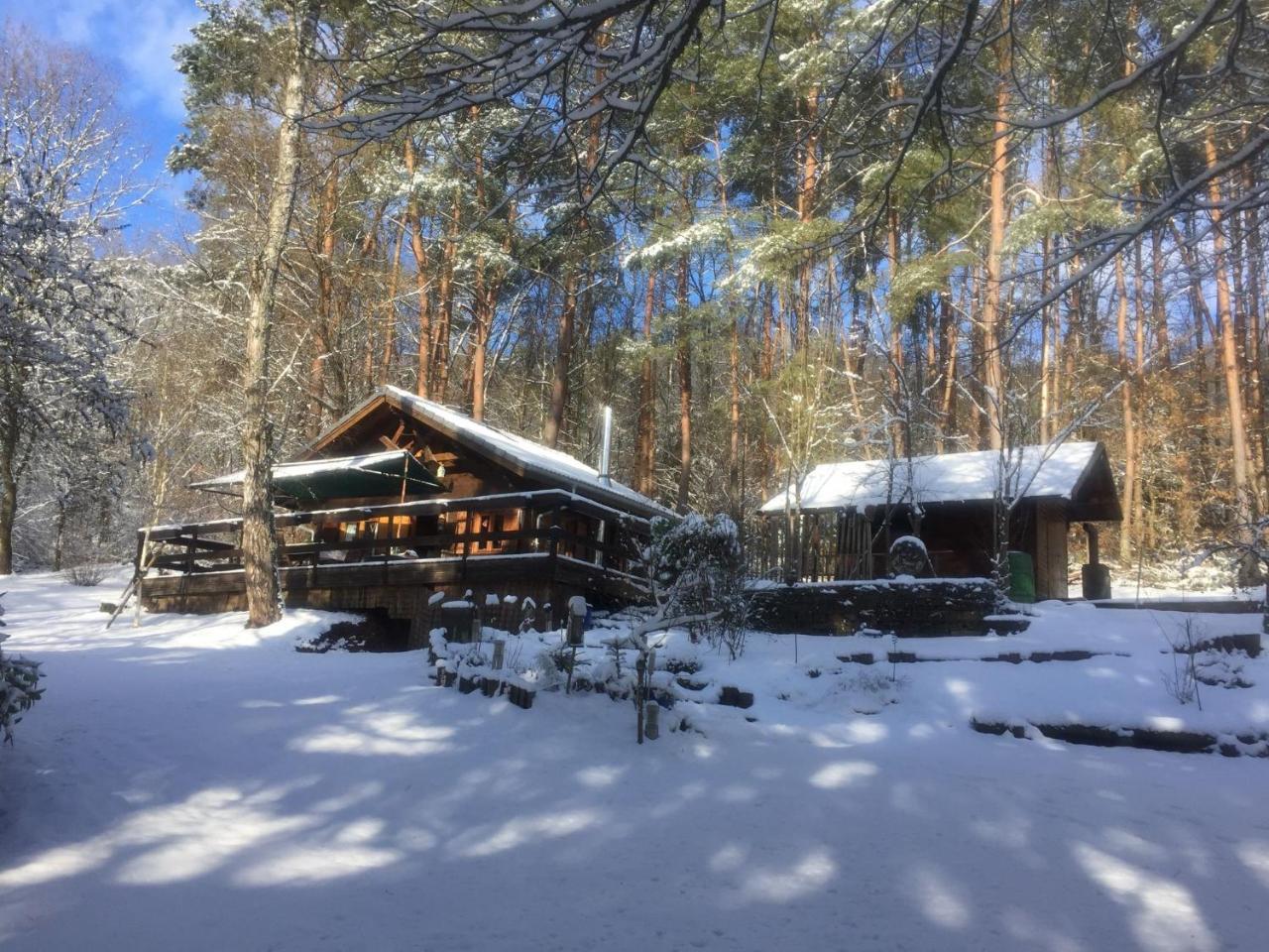 Cosy Chalet With Private Sauna In Bousseviller Extérieur photo
